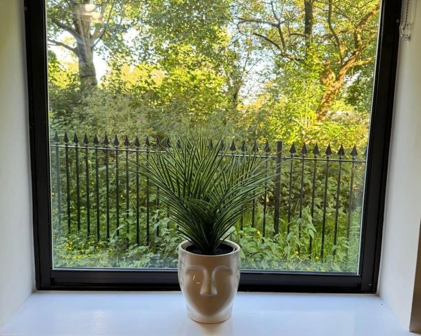 Polly'S Place Apartment Taunton & Free Off Road Parking & Wifi Eksteriør bilde